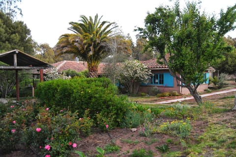 Property building, Patio, Garden