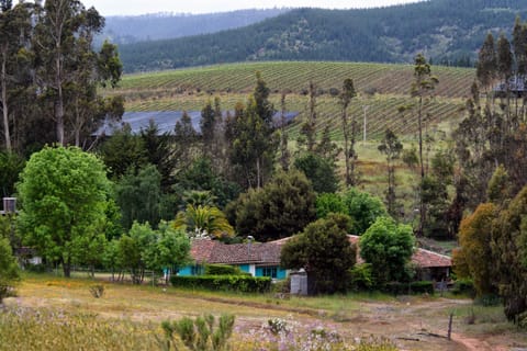 Property building, View (from property/room)