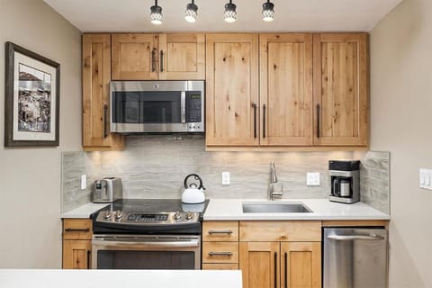 Fasching Haus Unit 12, Lower Level Deluxe Condo w/ Open Living Area & Gas Fireplace Casa in Aspen