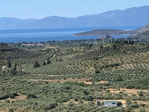 Bird's eye view, Sea view