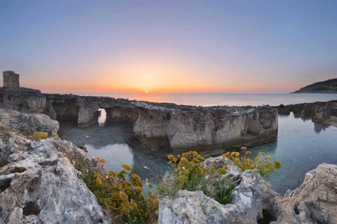 Nearby landmark, Natural landscape, Swimming pool