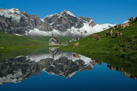 Frutt Mountain Resort Hotel in Nidwalden