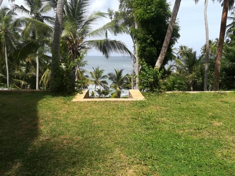 Star Beach Hotel Lodge nature in Tangalle