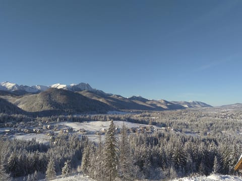 Winter, Mountain view