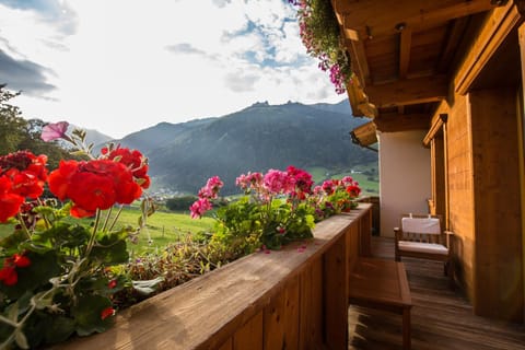 Untersillerhof Farm Stay in Neustift im Stubaital