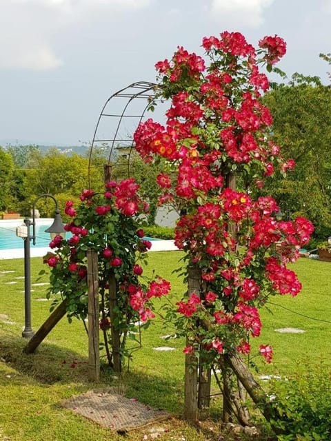 Garda Lake with private pool Villa in Garda