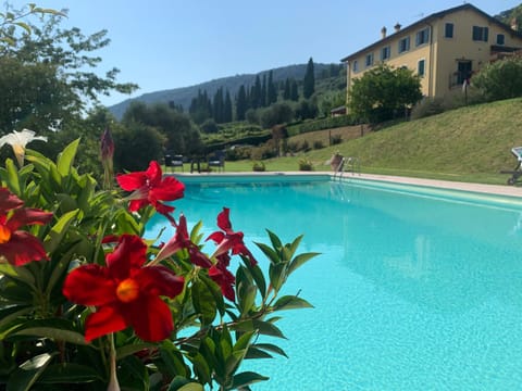 Garda Lake with private pool Villa in Garda