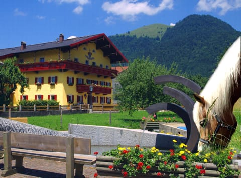 Property building, Facade/entrance, Horse-riding, children, young children, older children, Family