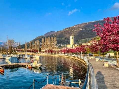 Nearby landmark, Natural landscape