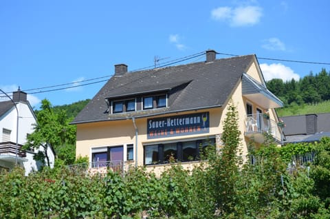 Weingut Sauer-Kettermann House in Cochem-Zell