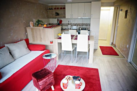 Apartment Kamencic Condominio in Zlatibor