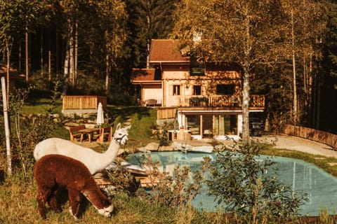 Property building, Natural landscape, Pool view