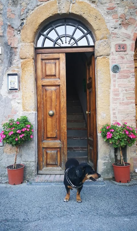 Toscanamente Wohnung in Volterra
