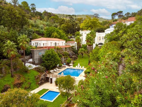 Natural landscape, Bird's eye view, Garden, Garden view, Pool view