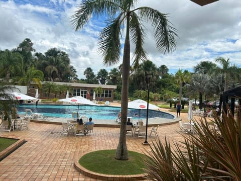 Garden, Pool view, Swimming pool, sunbed