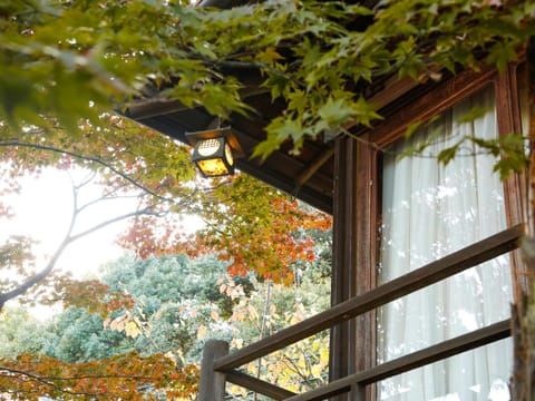 Property building, Autumn, Inner courtyard view