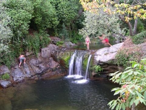 Natural landscape, Swimming pool