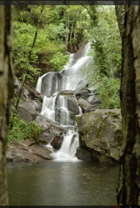 Nearby landmark, Natural landscape