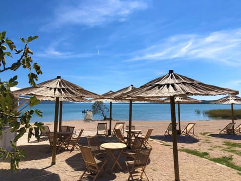 Beach, Lake view, sunbed