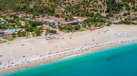 Bird's eye view, Beach, Sea view