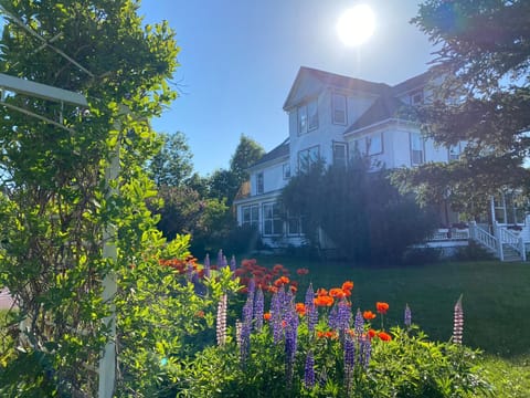 Property building, Garden, Sunset