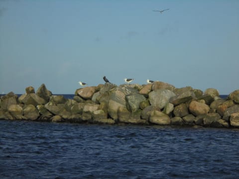 Ostseemuschel Apartamento in Damp