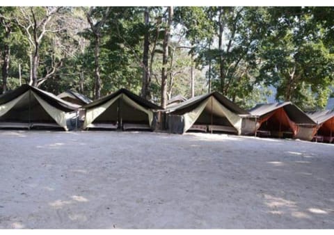 Ubud Riverside Camps Luxury tent in Uttarakhand
