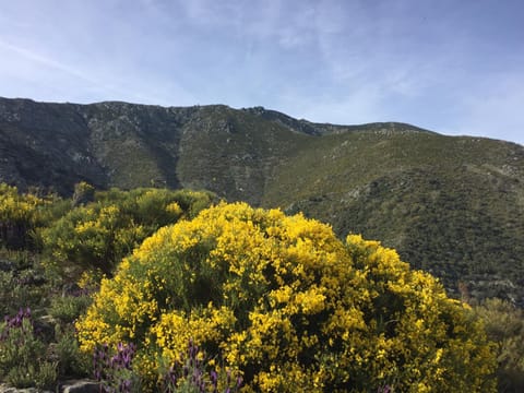 Hiking