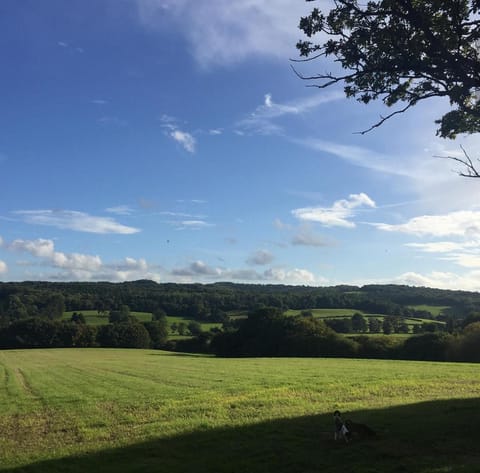 Court Barn Cottage B&B Bed and Breakfast in Rother District