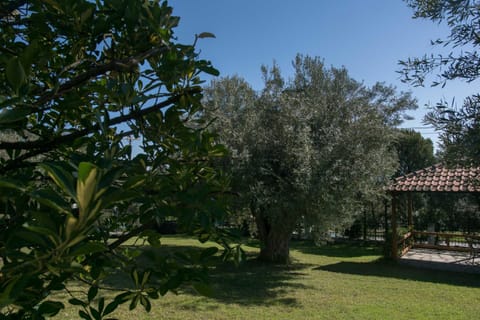 Katerina's Garden Mola Kaliva Casa in Halkidiki
