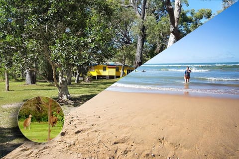 Natural landscape, Beach