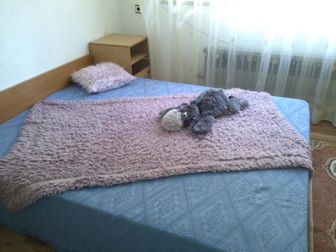 Guest House Kachaka Bed and Breakfast in Pleven
