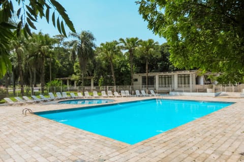 Spring, Day, Garden, Garden view, Pool view, Swimming pool, sunbed