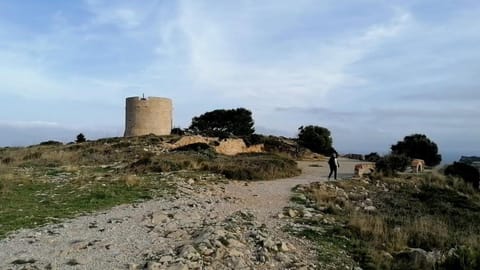 Nearby landmark, Natural landscape