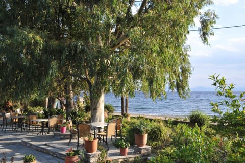 Nearby landmark, Day, Natural landscape, Garden view, Sea view