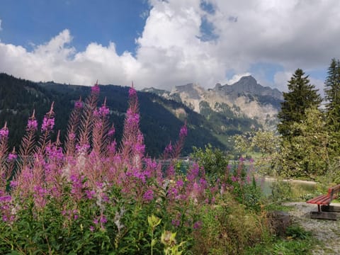 Appartementhaus Fischerstraum am Haldensee Apartment in Tyrol