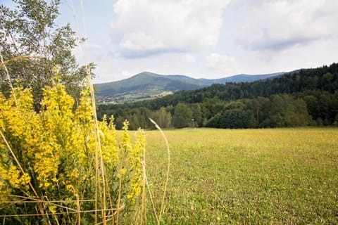 Nearby landmark, Neighbourhood, Natural landscape, Hiking, Mountain view