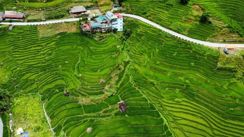 Nearby landmark, Spring, Day, Neighbourhood, Natural landscape, Bird's eye view, Garden, Garden view