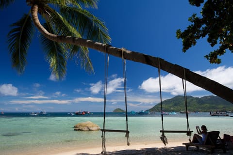 Beach, Area and facilities