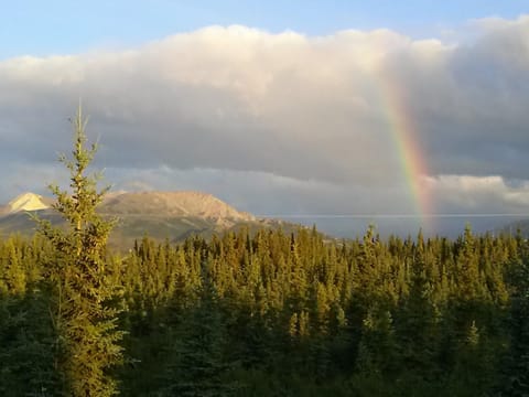 Alaskan Spruce Cabins Campingplatz /
Wohnmobil-Resort in Healy