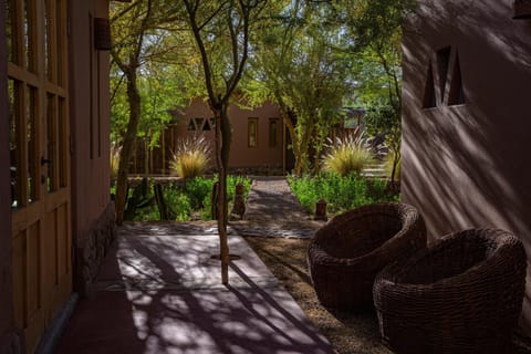 Property building, Spring, Day, Garden