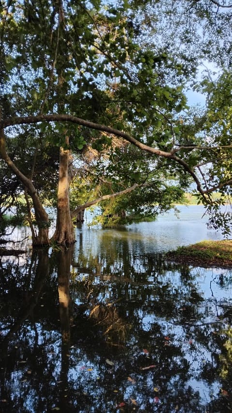 Nature's Lake View Sigiriya Resort in Dambulla