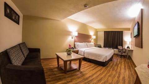 Holiday Inn Orizaba, an IHG Hotel Hotel in Orizaba