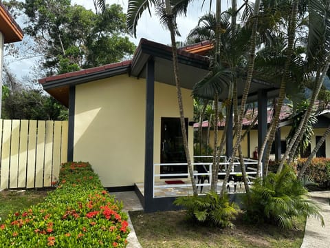 Property building, Garden, Garden view