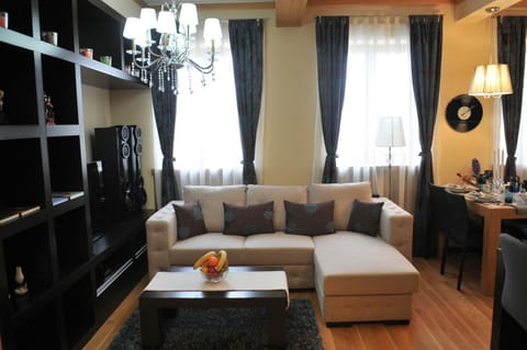 Luxury Apartment Condo in Brasov