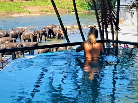 Hotel Elephant Park "Grand Royal Pinnalanda" Hotel in Sri Lanka