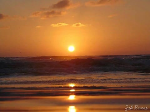 Natural landscape, Sea view, Sunset