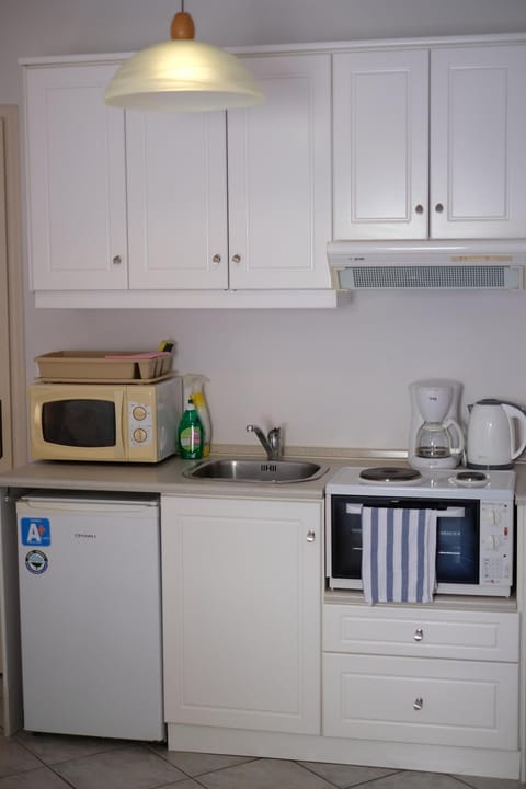 Kitchen or kitchenette, minibar, stove