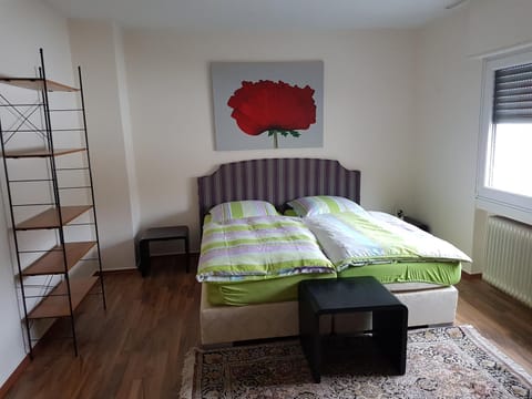 modern-comfort-inn 1 Apartment in Rhineland-Palatinate