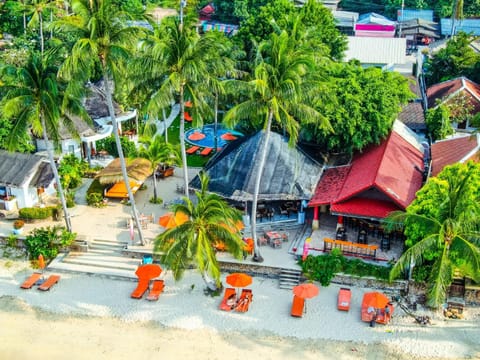 Bird's eye view, Beach